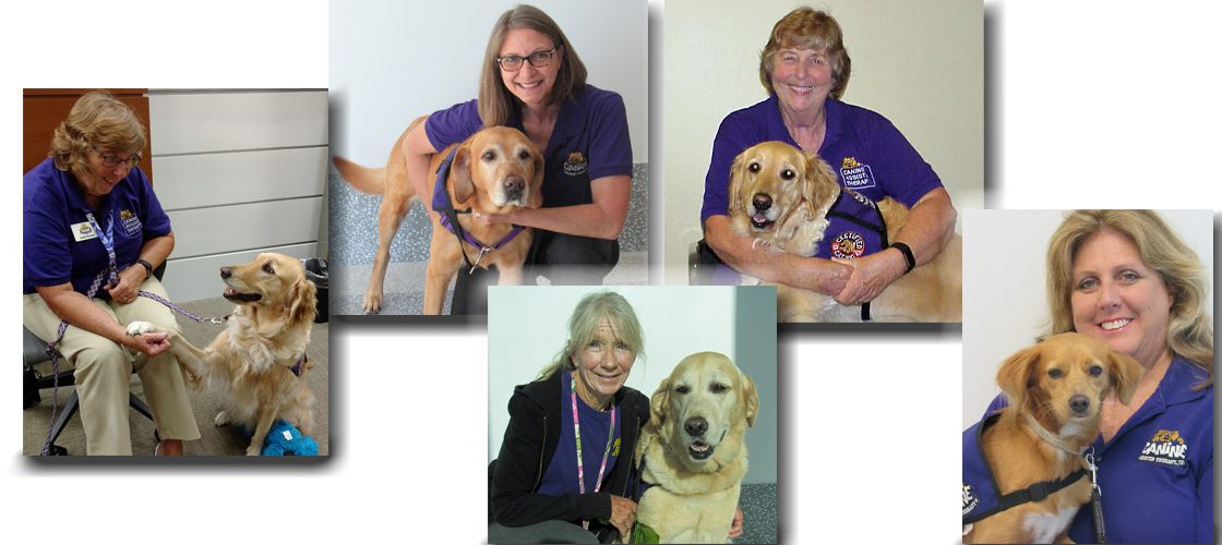 5th Anniversary of Therapy Dog Program Featured on Channel 7 News