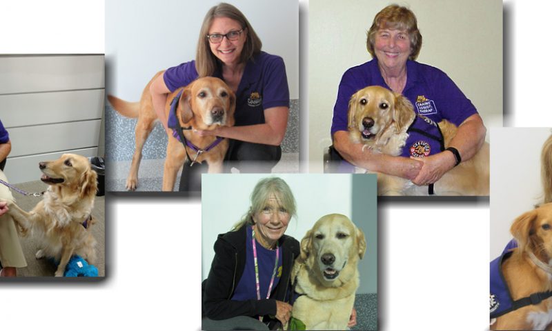 5th Anniversary of Therapy Dog Program Featured on Channel 7 News