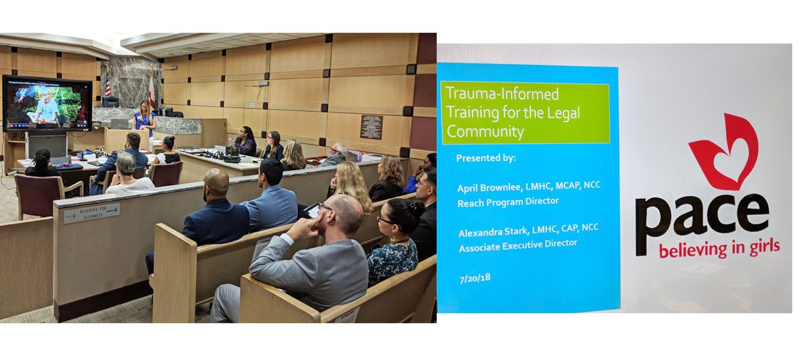 Trauma Informed Care in the Legal Community