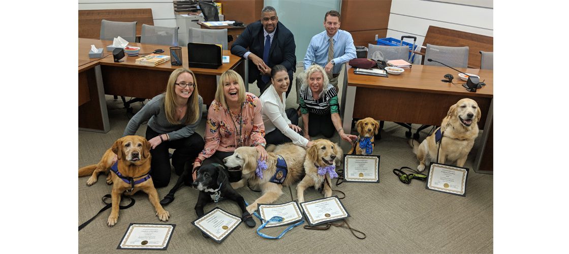 Therapy Dog Program Celebrates 5th Anniversary