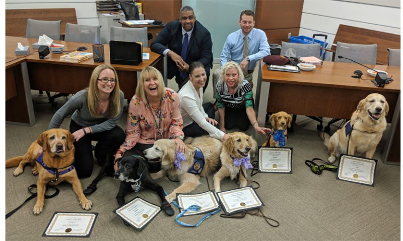 Therapy Dog Program Celebrates 5th Anniversary