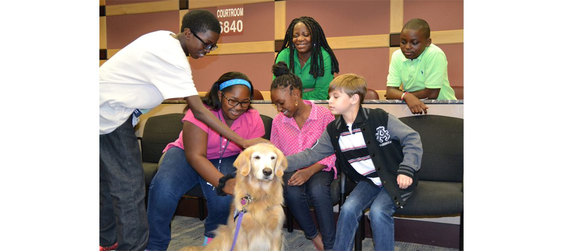 Therapy Dog Coral Receives Pet Hero of the Year Award