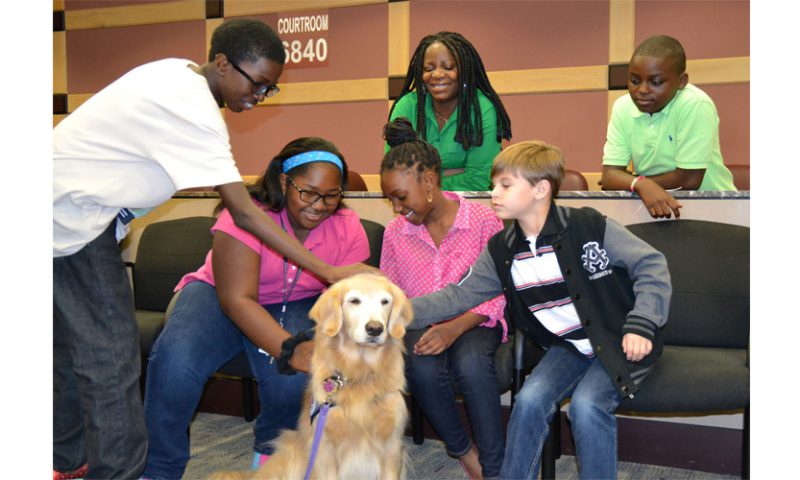 Therapy Dog Coral Receives Pet Hero of the Year Award