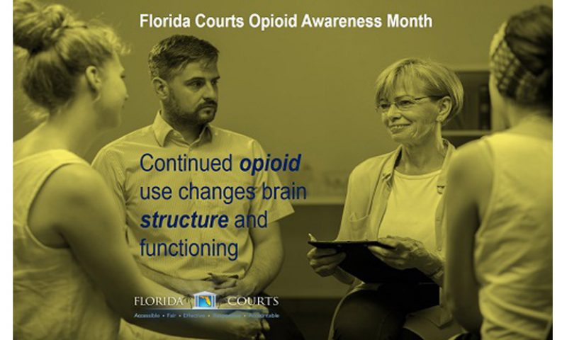 Opioid Awareness Month – Opioid Use Disorder Occurs by Progressive Steps