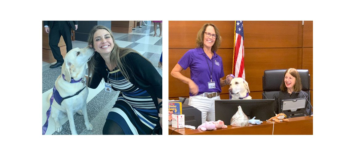 Therapy Dog Helps Ease the Courts