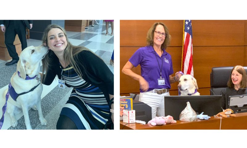 Therapy Dog Helps Ease the Courts