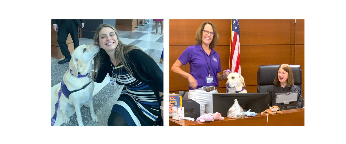 Therapy Dog Helps Ease the Courts – Seventeenth Judicial Circuit of Florida