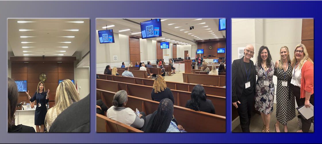 Training on Trauma Informed Courts
