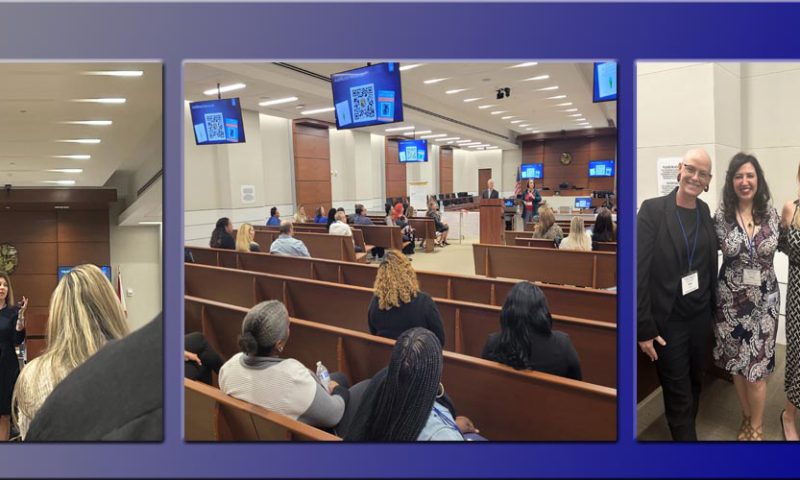Training on Trauma Informed Courts