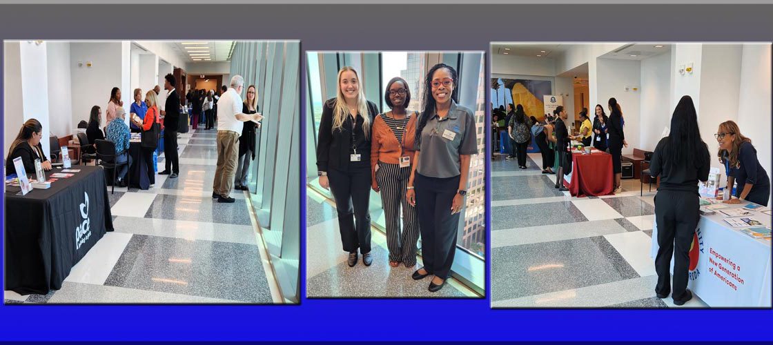 Community Resource Fair at the 17th Circuit