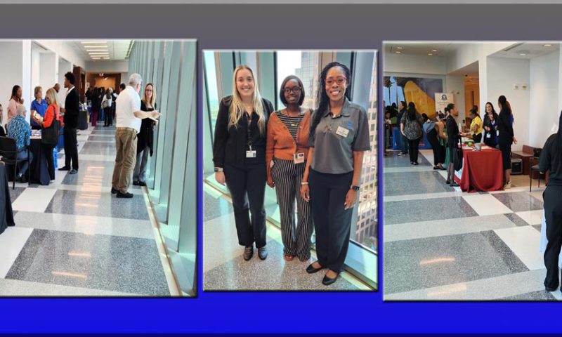 Community Resource Fair at the 17th Circuit