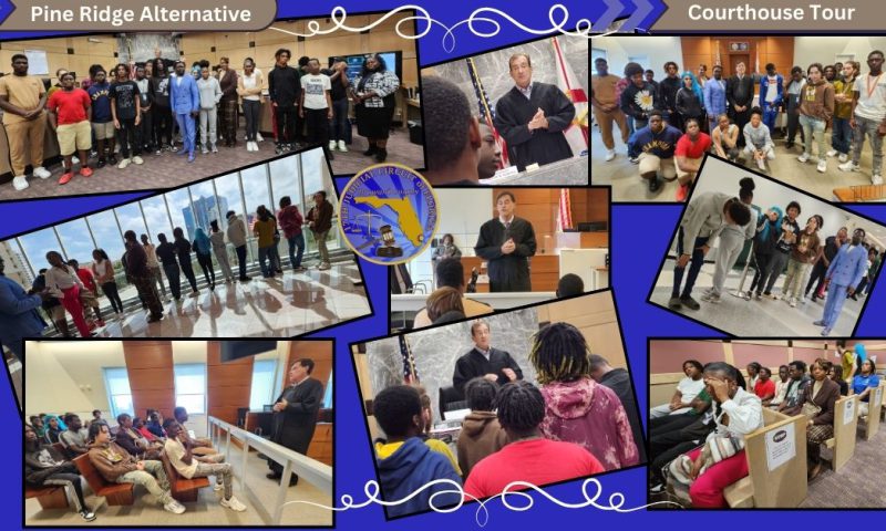 Pine Ridge Alternative: Learning about the Law