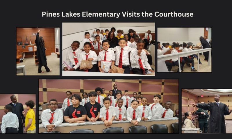 Pines Lakes Elementary Students Pepper Judges With Questions