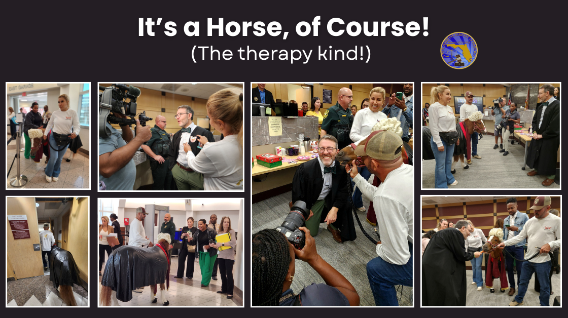 A Horse in Court? Of Course!