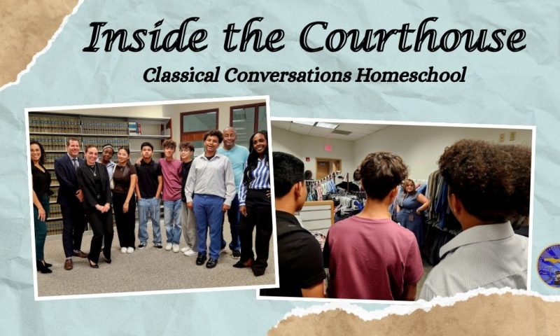 A Look Inside the Justice System