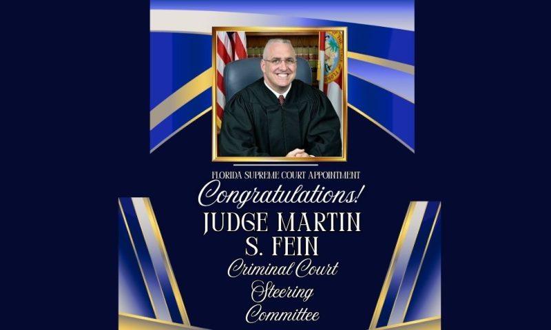 State Supreme Court Justice Appoints Judge Fein to Criminal Court Steering Committee