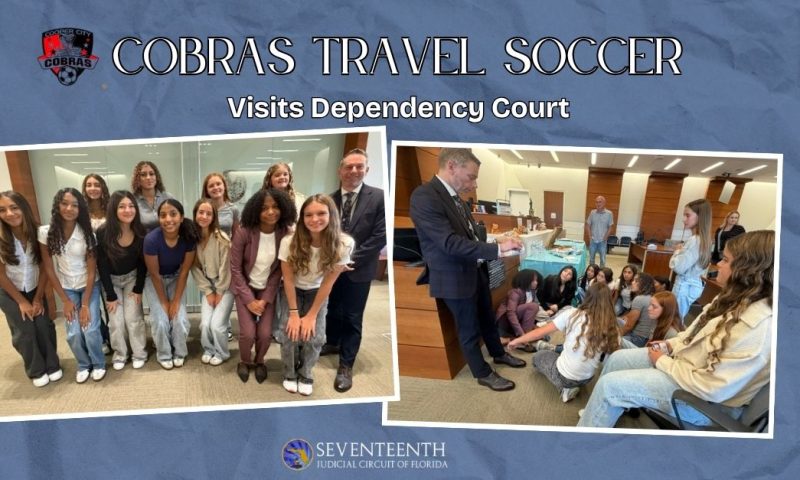 A Day in Dependency Court