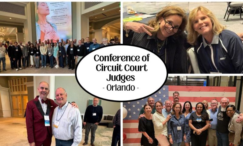 17th Circuit Judges Take on the Law — Vinny Style
