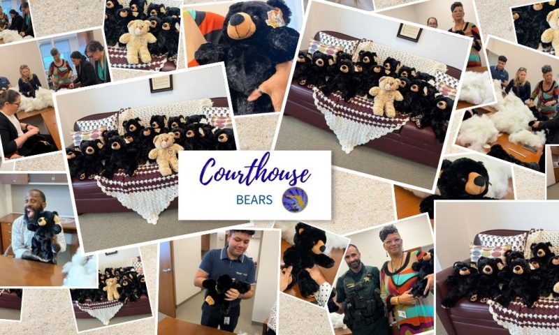 Stuffing Bears, Spreading Comfort